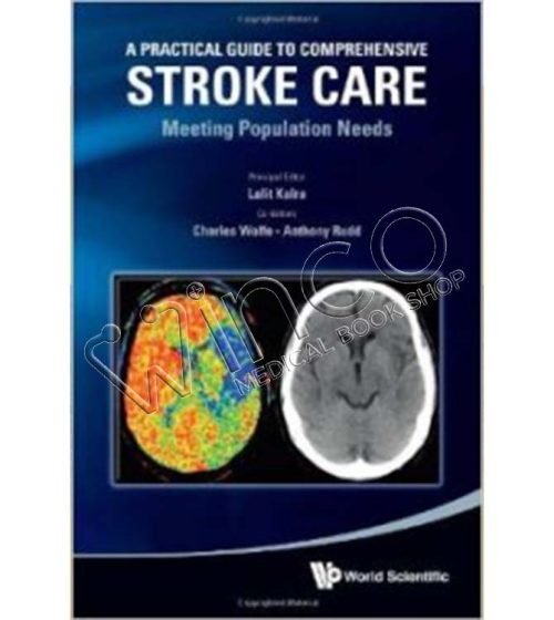 A Practical Guide to Comprehensive Stroke Care: Meeting Population Needs